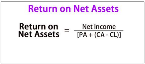 Return On Net Assets Assignment Point