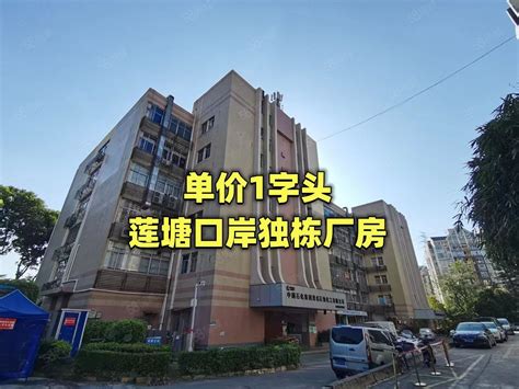 【12图】单价1万38 罗湖莲塘鹏基工业区厂房 地铁口独栋厂房深圳罗湖莲塘厂房仓库土地车位出售 深圳58同城