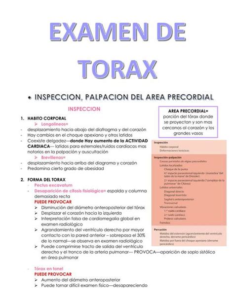 Resúmenes De Tórax En Tonel Descarga Apuntes De Tórax En Tonel