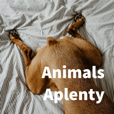 Animals Aplenty Podcast On Spotify