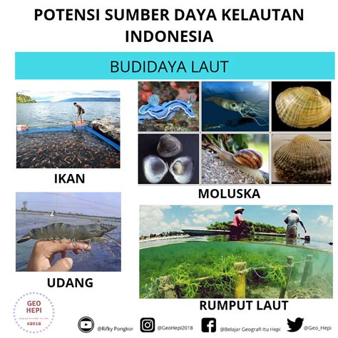 Potensi Dan Pengelolaan Sumber Daya Kelautan Indonesia GeoHepi