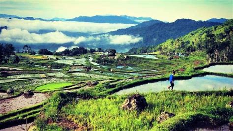 Toraja Marathon Kemilau Tanah Penuh Budaya Dan Sejarah Jom Kita Lari