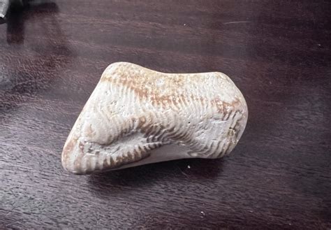 Rock identification request : r/whatsthisrock