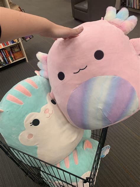 Went Squish Hunting Today And Found These I Picked Up Archie R Squishmallow