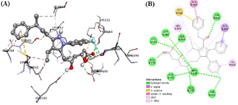 Docking Of The Atorvastatin In The Active Site Of The Hmg Coa Reductase