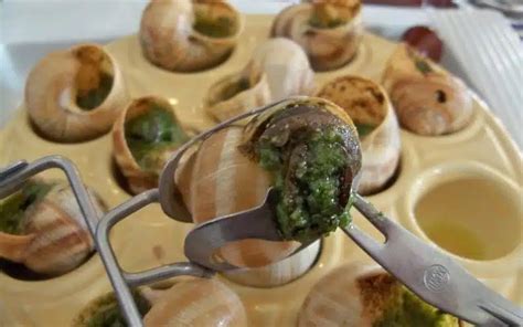 La Cuisson Des Escargots Surgel S Astuces Et Techniques Pour Les