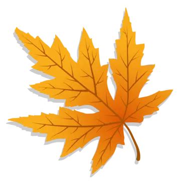 Fall Leaves PNG, Vector, PSD, and Clipart With Transparent Background ...