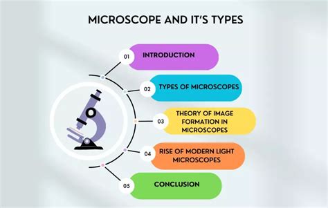 Microscope and it's Types - IntakeLearn