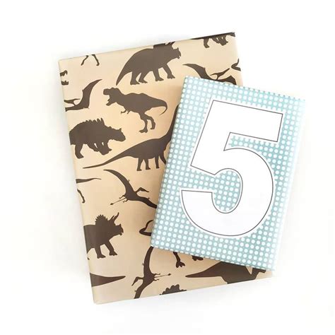 Two Notebooks With Dinosaurs And The Number Five On Them