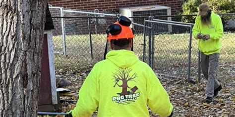 Need a Tree Removal Permit in Knoxville? How We Can Help You