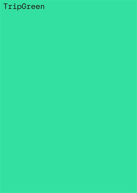 Why the color green remains central to the iconic Tripadvisor logo design 18