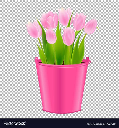 Pink Tulip In Pot Royalty Free Vector Image Vectorstock