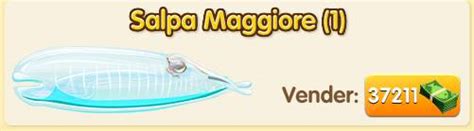 Salpa Maggiore | FISHAO website