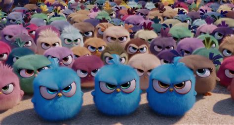 The Angry Birds Movie 2016