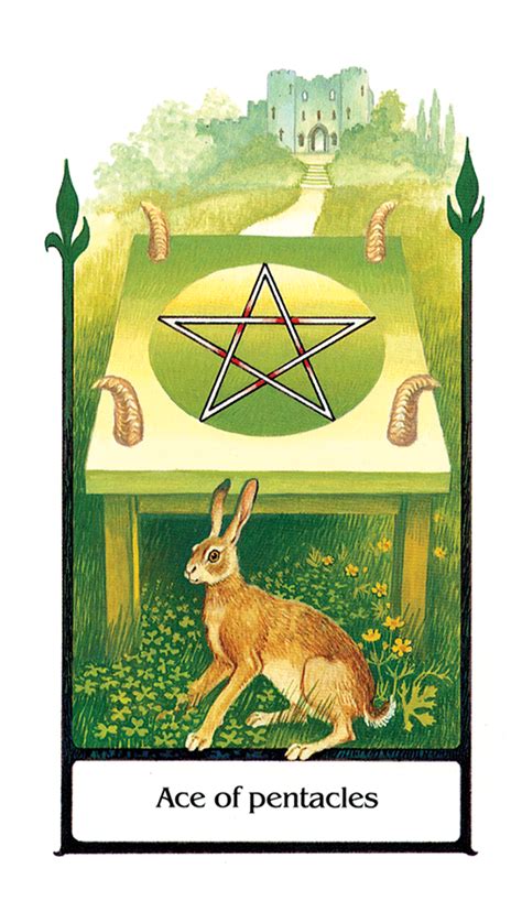 Tarot Of The Old Path Tarot Cards And Book Set Tarot Tarot Room Store