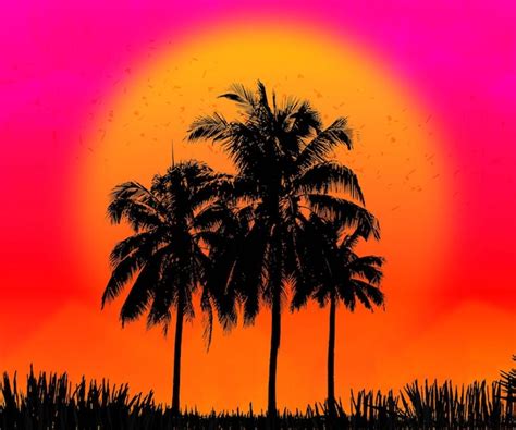 Premium Photo Beautiful Colorful Sunset On Tropical Ocean Beach With