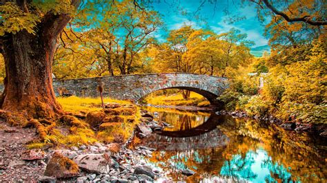 wallpaper river, fall, pond, grass, trees HD : Widescreen : High ...