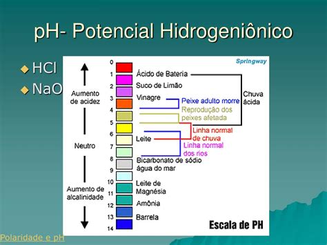 O Que E Potencial Hidrogeniônico - Potencial Hidrogeniônico Da água - NAZAEDU
