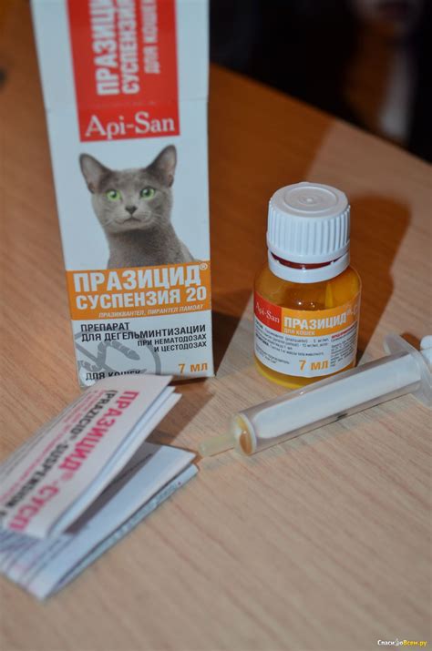 Празицид суспензия для собак: инструкция и показания к применению ...