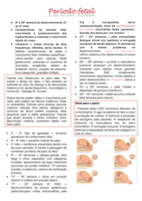 Solution Embriologia Per Odo Fetal Studypool