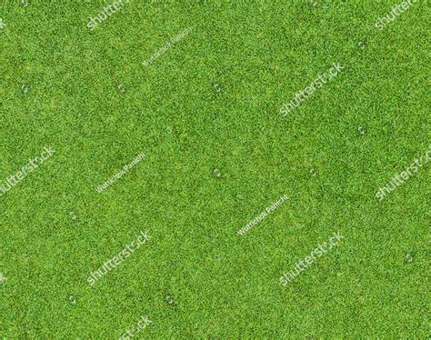 Background And Texture Of Beautiful Green Grass Pattern From Golf