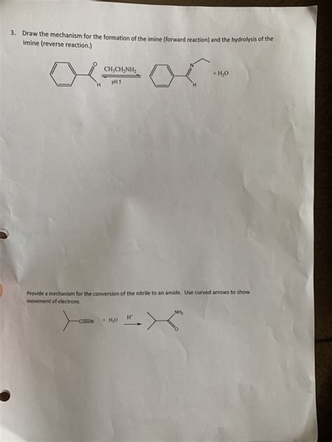 Solved 3 Draw The Mechanism For The Formation Of The Imine