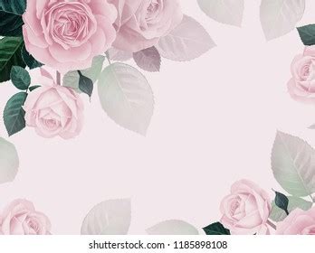 Floral Card Flowers Roses Pink Background Stock Photo 1185898108 ...