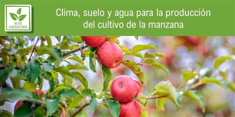 Clima suelo y agua para la producción del cultivo de la manzana