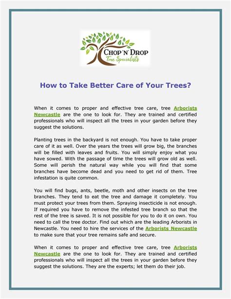 How To Take Better Care Of Your Trees By Chop N Drop Trees Issuu