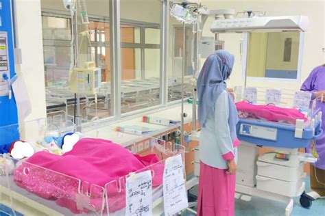 Indonesias Woman Gives Birth To Quintuplets Antara News