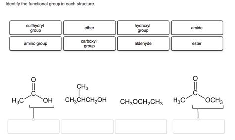 Solved Identify the functional group in each structure. | Chegg.com