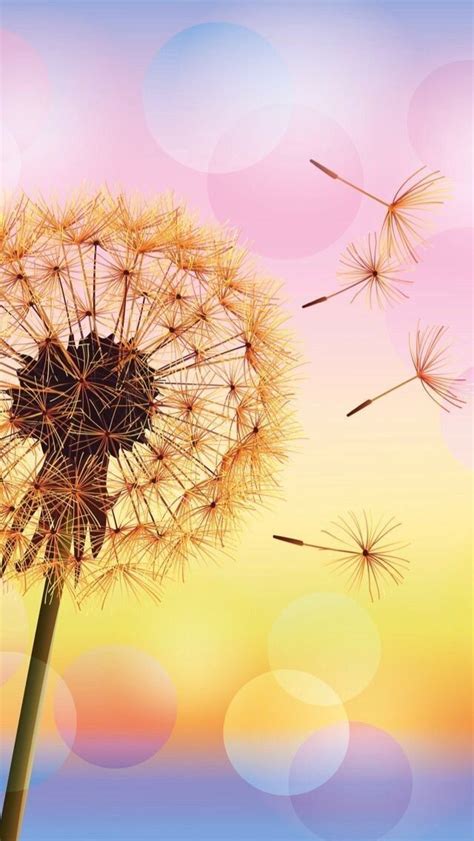 Iphone Dandelion Sunset Wallpaper / You can make this wallpaper for your iphone 5, 6, 7, 8, x ...