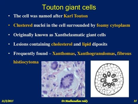 Giant cell formation and function ppt