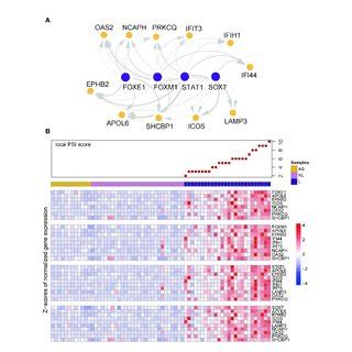 | Visualization of gene regulatory network and co-expression pattern ...