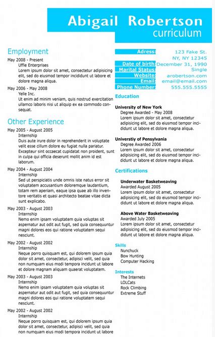 Sky Blue Resume Template