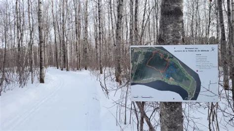 Best Bird Watching Trails In Saint Felicien Alltrails