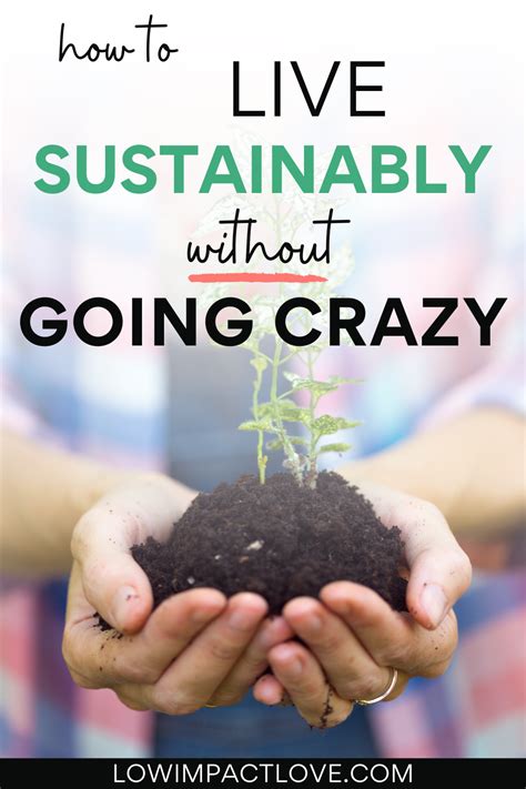 Low Impact Living A Beginners Guide To Sustainability Sustainable