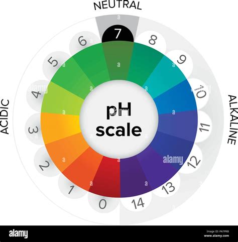 Medición de la escala de pH manómetro infografía pH es una escala