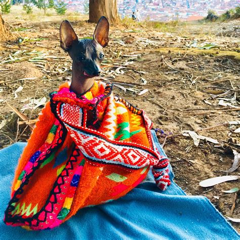 419 Best Cusco Images On Pholder PERU Earth Porn And Hiking