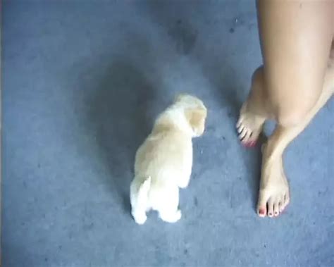 My Name Is Sarka An Exhibitionist Blonde Model With Natural Amateur Amateur Porn XHamster