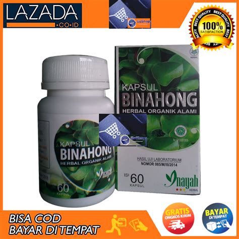 Kapsul Binahong Herbal Ekstrak Daun Binahong Original Inayah