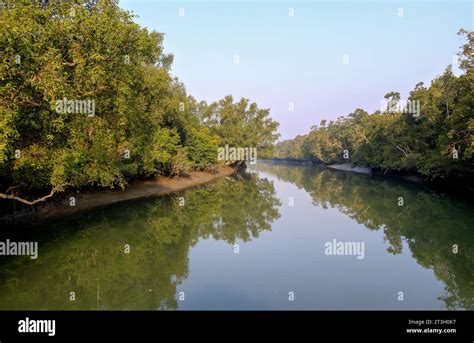 Sundarbans Is The Biggest Natural Mangrove Forest In The World Located