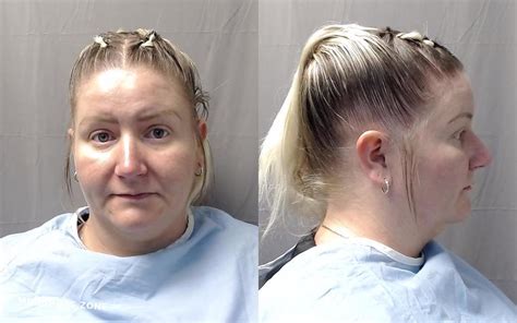 Fashola Kristen Michelle 09 06 2022 Champaign County Mugshots Zone