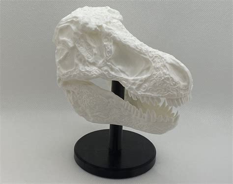 T-Rex Skull Replica — Surge 3D