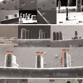 Surface Morphology And Elemental Mapping Of 3D Printed BPEC A And B