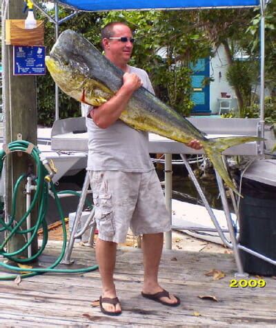 How To Catch Mahi In The Florida Keys Florida Keys Fishing Charters