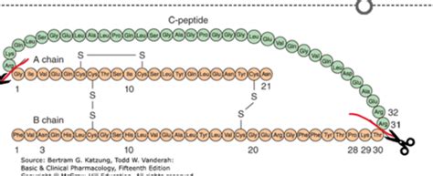 Overview Of Carbohydrate Fat And Protein Control PDA 1 Final