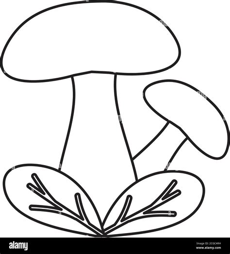 Mushrooms And Leaves Icon Over White Background Line Style Vector