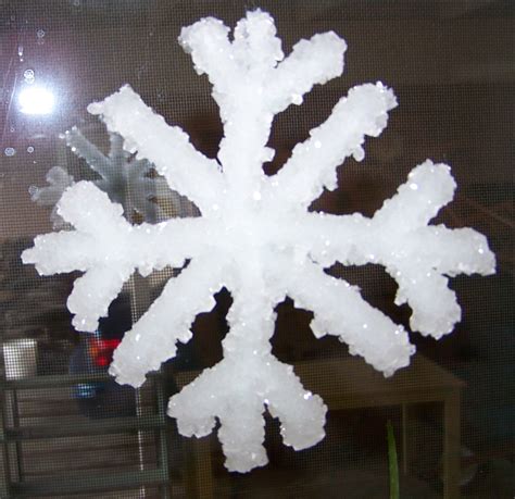 Borax Crystal Snowflake 1 With Instructions Idea And Rec Flickr