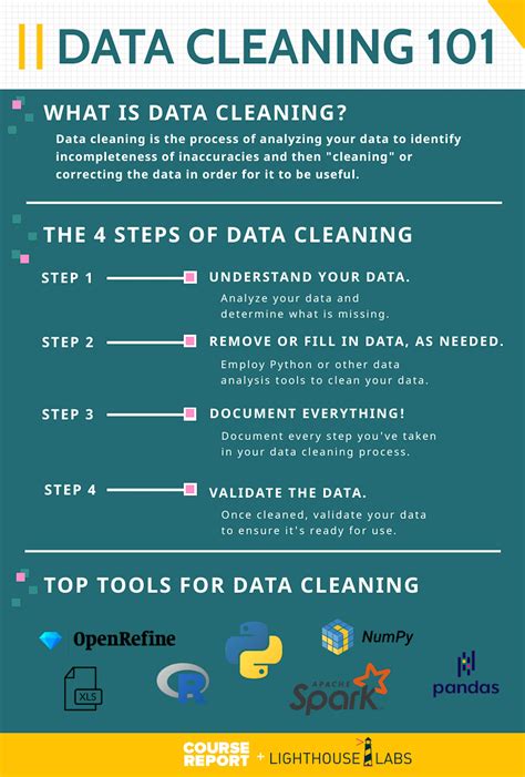 Ultimate Guide To Data Cleaning With Python Course Report